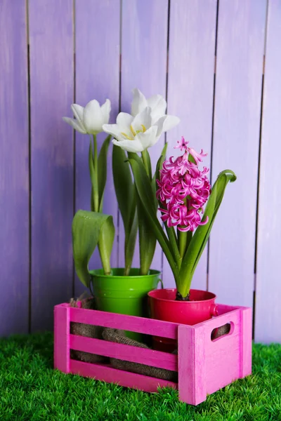 Hermosos tulipanes y flor de jacinto en caja de madera sobre fondo de madera de color — Foto de Stock