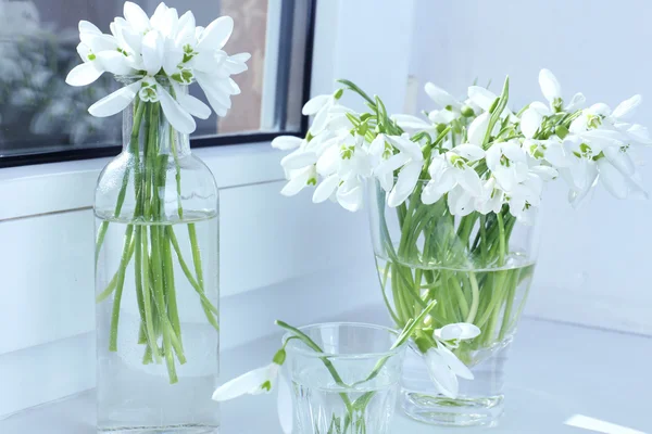 Hóvirág-vázák, ablakpárkányon csokrok összjátéka — Stock Fotó