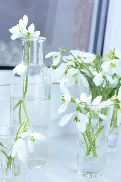 Beaux bouquets de gouttes de neige dans des vases sur le rebord de la fenêtre — Photo