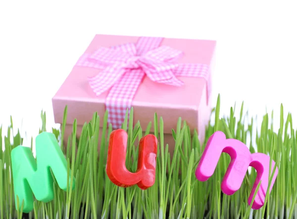 Gift box for mum on grass close up — Stock Photo, Image