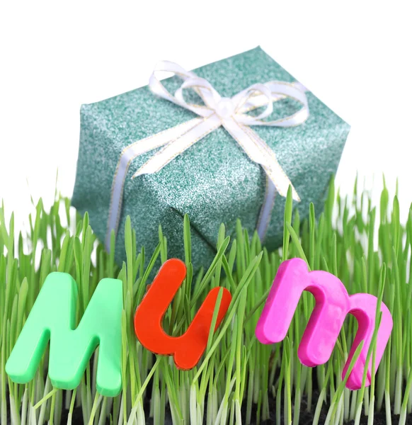 Geschenkbox für Mama auf Gras isoliert auf weiß — Stockfoto