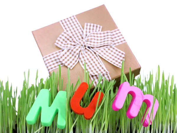 Geschenkbox für Mama im Gras aus nächster Nähe — Stockfoto