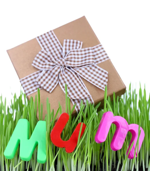 Caixa de presente para a mãe na grama isolada no branco — Fotografia de Stock