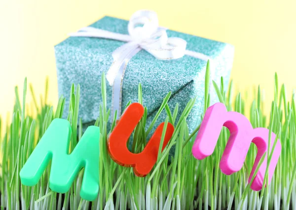 Geschenkbox für Mama auf Gras auf farbigem Hintergrund — Stockfoto