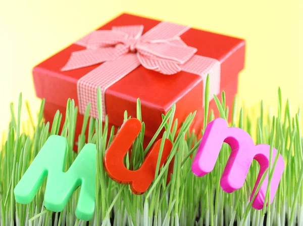 Gift box for mum on grass on color background — Stock Photo, Image