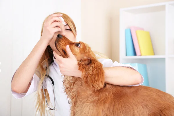 Schöne junge Tierärztin mit Hund in Klinik — Stockfoto