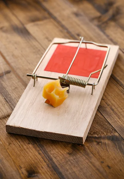 Mousetrap com queijo sobre fundo de madeira — Fotografia de Stock