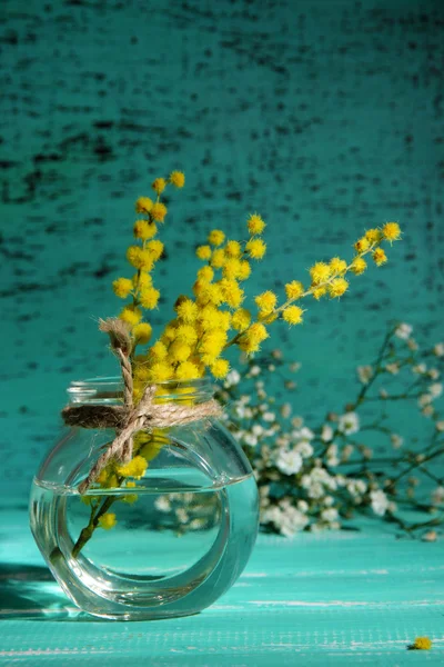 Kvistar av mimosa blommor i vas på blå träbord — Stockfoto