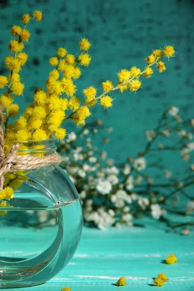 Gałązki mimozy kwiaty w wazonie na niebieskim drewnianym stołem — Zdjęcie stockowe