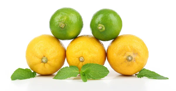 Лимоны и лаймы, изолированные на белом — стоковое фото