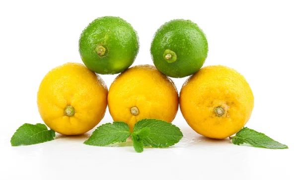 Limoni e lime, isolati su bianco — Foto Stock