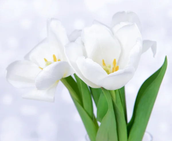 Belo buquê de tulipas brancas na mesa no fundo claro — Fotografia de Stock