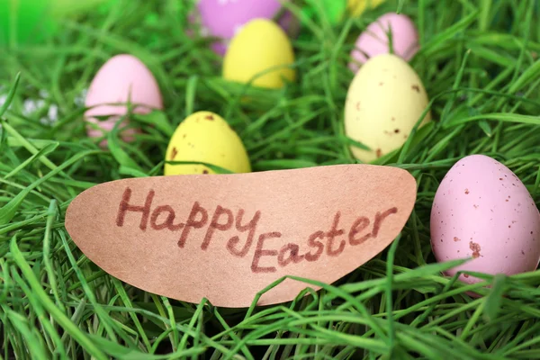 Easter eggs on green grass, close up — Stock Photo, Image