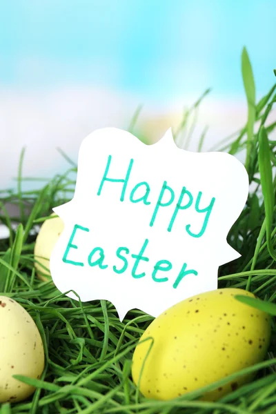 Osterkomposition mit Eiern auf grünem Gras, auf blauem Hintergrund — Stockfoto