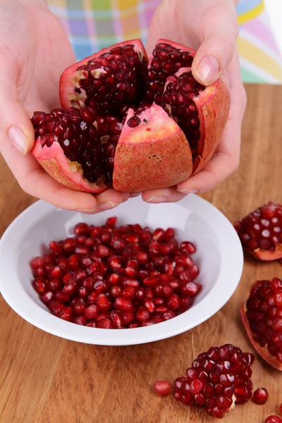 Ženské ruce sbírat semena granátového jablka close-up — Stock fotografie