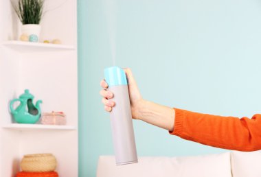 el ev iç zemin üzerine toz boya spreyi