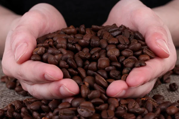 Vers gebrande koffie bonen in de handen — Stockfoto