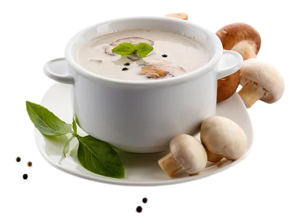 Mushroom soup in white bowl, on plate, isolated on white — Stock Photo, Image
