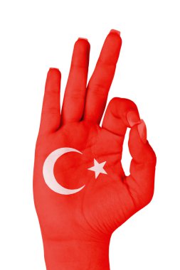 Türkiye'nin bayrak el boyalı