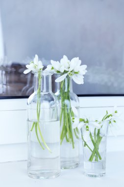 kardelen vazolar üzerinde pencere içinde güzel buketler