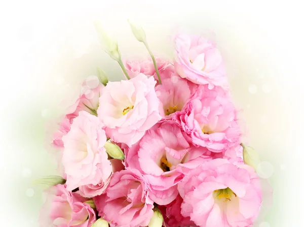 Bouquet of eustoma flowers on bright background — Stock Photo, Image