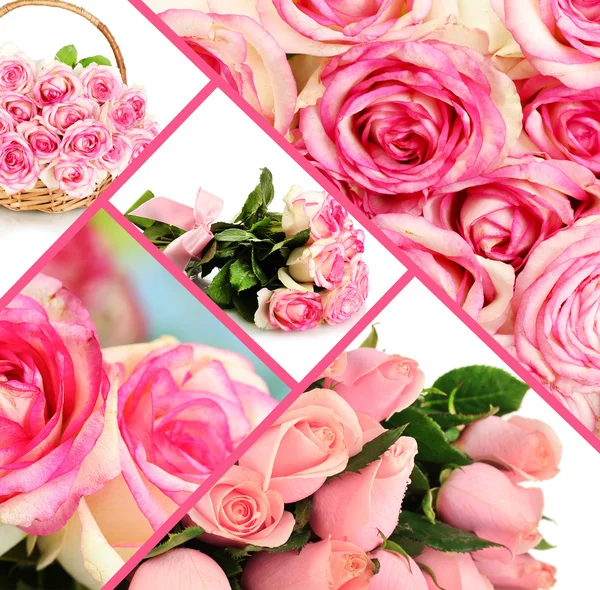 Колаж з рожевих троянд крупним планом — стокове фото