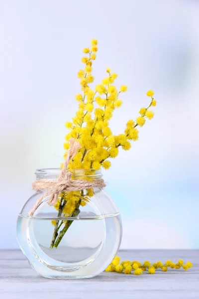 Twigs of mimosa flowers in vase on wooden table — Stock Photo, Image