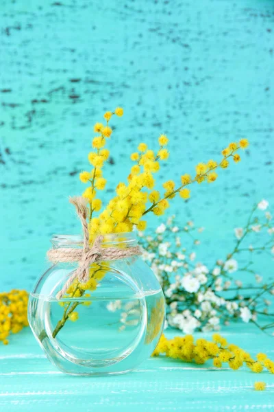 Twigs of mimosa flowers in vase on blue wooden table — Stock Photo, Image