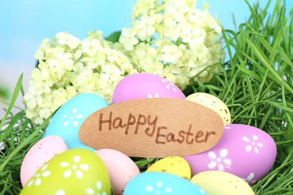 Velikonoční složení s vejce na zelené trávě, na modrém pozadí — Stock fotografie
