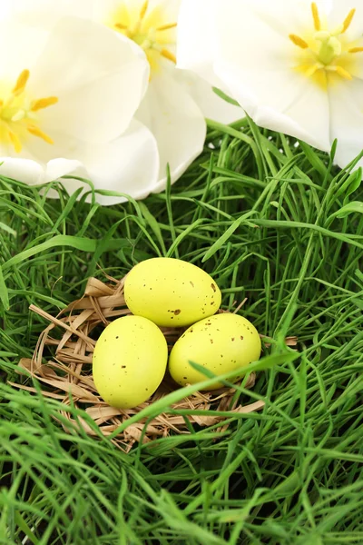 Uova di Pasqua sull'erba verde, da vicino — Foto Stock