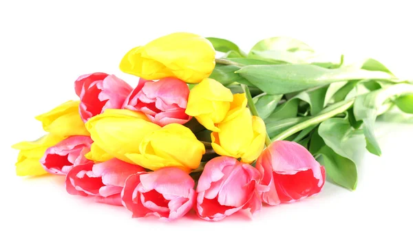 Tulipes roses et jaunes isolées sur blanc — Photo