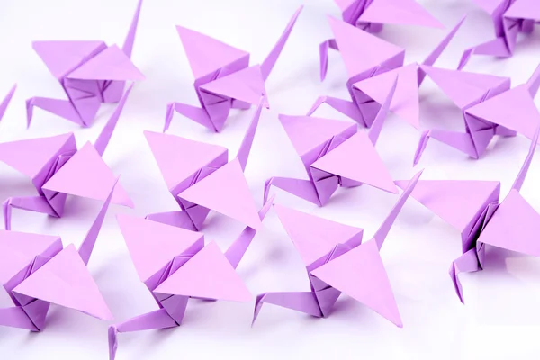 Gruas de Origami sobre fundo branco — Fotografia de Stock