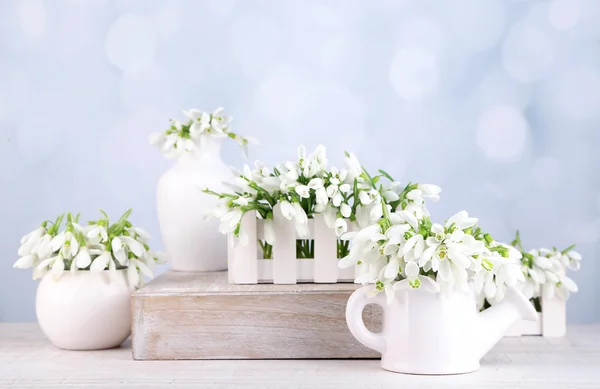 Schöne Schneeglöckchen auf hellem Hintergrund — Stockfoto