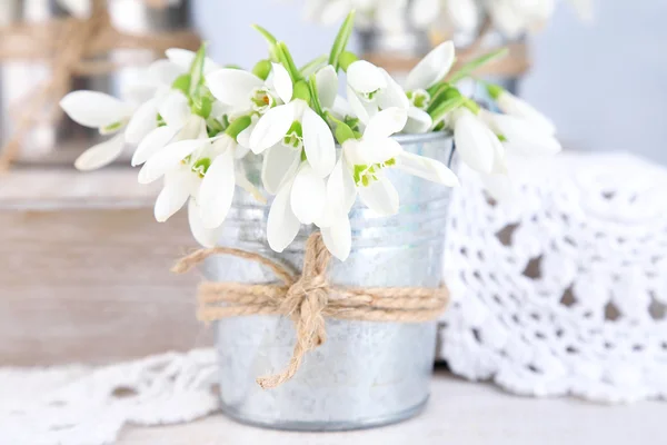 Vackra snödroppar på ljus bakgrund — Stockfoto