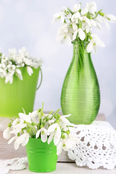 Beautiful snowdrops on light background — Stock Photo, Image