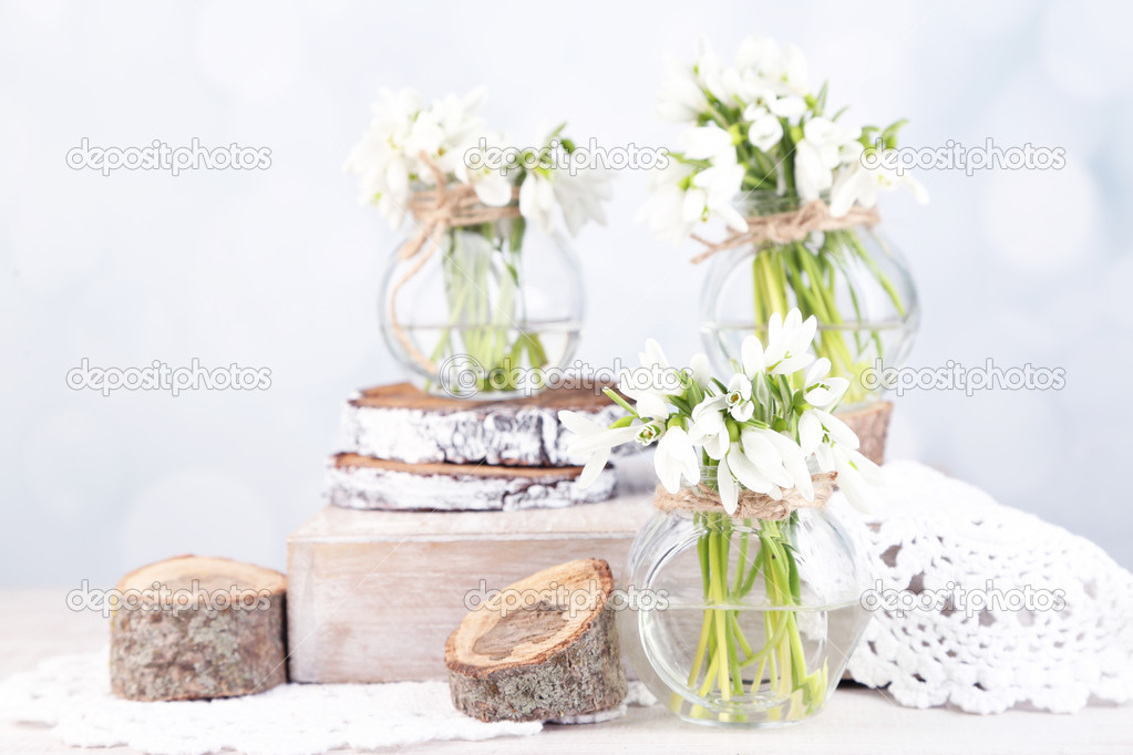Beautiful snowdrops on light background