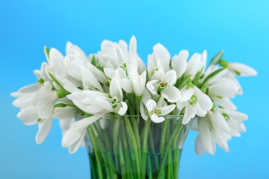 Parlak arkaplanda güzel kar damlaları