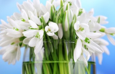 Parlak arkaplanda güzel kar damlaları