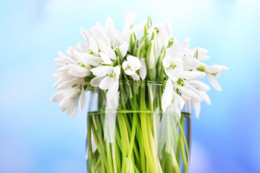 Parlak arkaplanda güzel kar damlaları