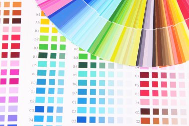 renk örnekleri yakın çekim