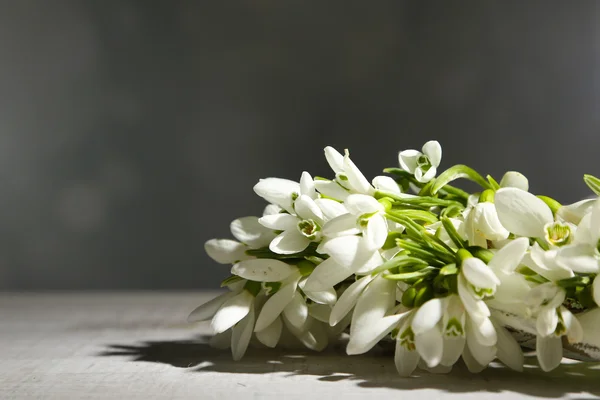 Beautiful snowdrops on grey background — Stock Photo, Image