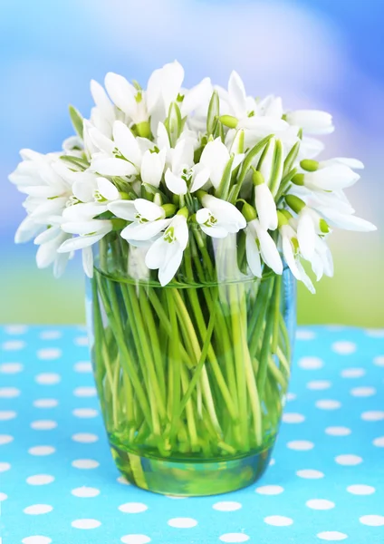 Mooie sneeuwklokjes in vaas, op tafel op lichte achtergrond — Stockfoto