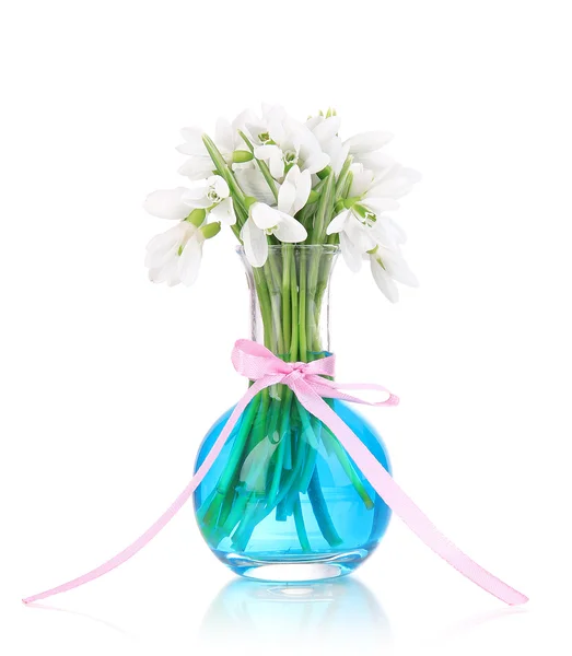 Beautiful snowdrops in vase, isolated on white — Stock Photo, Image