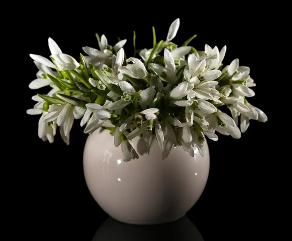 Schöne Schneeglöckchen in der Vase, isoliert auf schwarz — Stockfoto