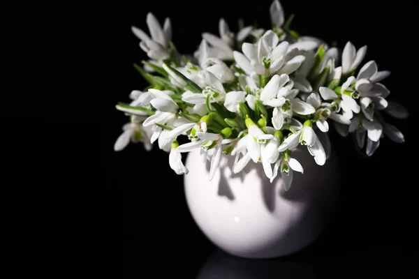 Beautiful snowdrops in vase, isolated on black — Stock Photo, Image