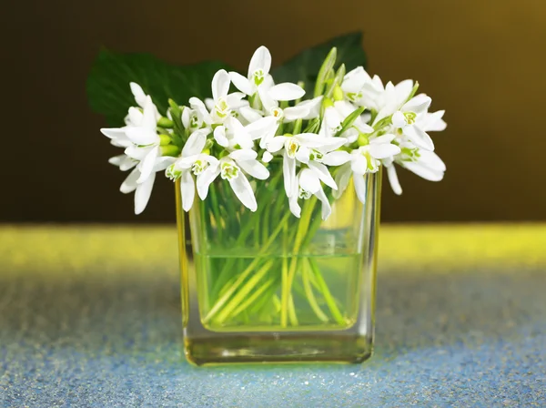 Schöne Schneeglöckchen in der Vase, auf farbigem Hintergrund — Stockfoto