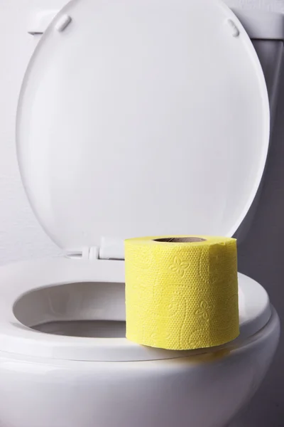 Χαρτί υγείας σε μια τουαλέτα, γκρο πλαν — Φωτογραφία Αρχείου