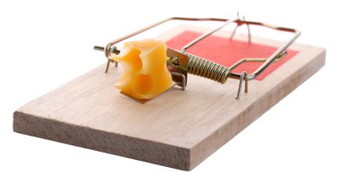 Mousetrap with cheese isolated on white clipart