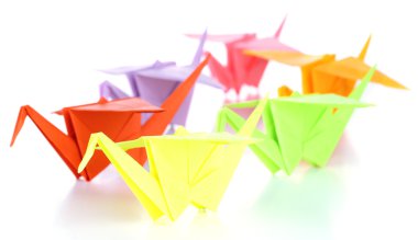 origami Vinçler, üzerinde beyaz izole