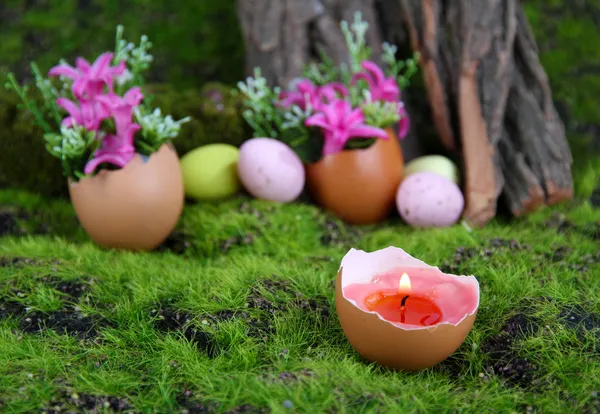 Conceptual Easter composition. Burning candle in egg and flowers on green grass background, close-up — Stock Photo, Image